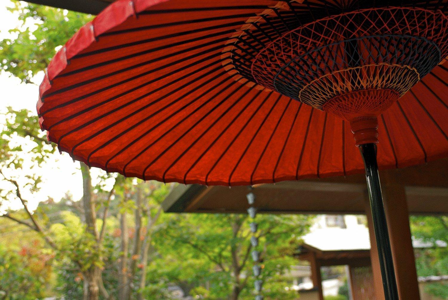 Ryokan Kiritani Hakoneso 3*